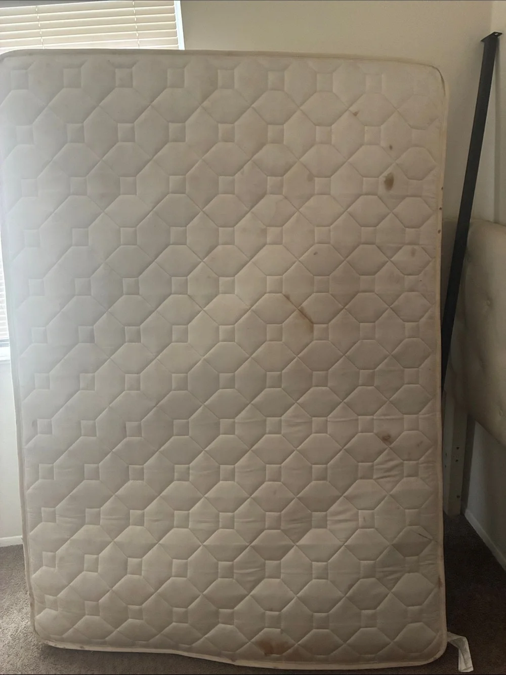N/A comfortable white